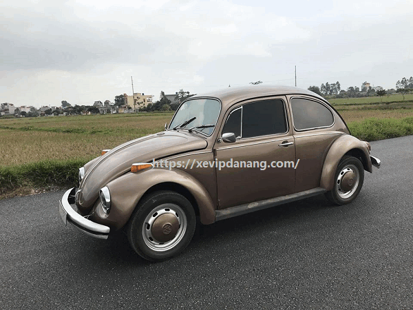 thue-xe-cuoi-con-bo-co-volkswagen-beetle-tai-da-nang-(2)