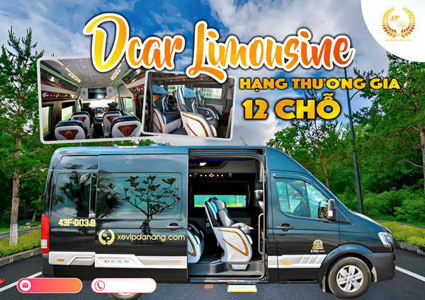 thue-xe-du-lich-vip-limousine-9-cho-da-nang-gia-re-(2)